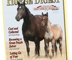 Performance Horse Digest Issue 9 Cover